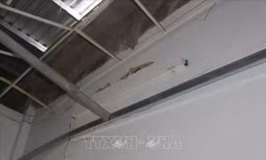 Bạc Liêu: Người dân mỏi mòn chờ bồi thường nhà hư hỏng do xây cầu