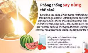 Phòng chống say nắng như thế nào?