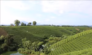 Thái Nguyên: Công nhận huyện Đại Từ đạt chuẩn nông thôn mới