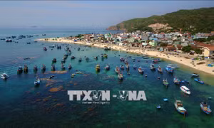 Lễ hội du lịch 'Quy Nhơn - Thiên đường biển - Rực rỡ sắc màu'