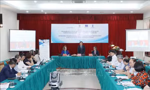 Xây dựng tài liệu hướng dẫn cho quy tắc đạo đức, ứng xử trong hoạt động tư pháp