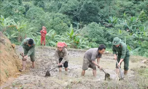 Tỉnh Lai Châu tổ chức cuộc thi viết về biên giới và Bộ đội Biên phòng