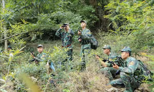 Đấu tranh hiệu quả với các loại tội phạm ở khu vực biên giới