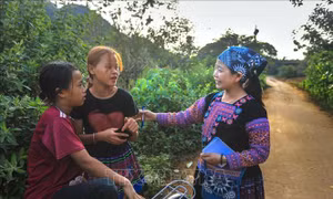 Nữ đảng viên hết lòng vì sự phát triển của cộng đồng người Mông