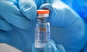 Indonesia tiếp nhận thêm hơn 1,8 triệu liều vaccine của hãng Sinovac