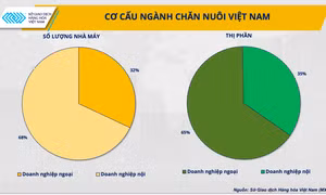 Ba giải pháp cho ngành chăn nuôi vững đà tăng trưởng năm 2024