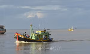 Mở rộng, phát triển cụm liên kết ngành kinh tế biển