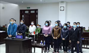 Viện Kiểm sát kiến nghị Công ty Nhật Cường phải nộp 221 tỷ đồng thu lợi bất chính