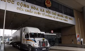 Hơn 14.000 tấn thanh long được xuất qua cửa khẩu Lào Cai dịp Tết