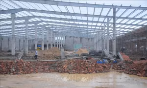 Vụ sập tường ở Bình Định: Bắt tạm giam quản lý dự án và giám đốc công ty xây dựng