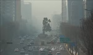 Nồng độ bụi nhỏ tại một số địa phương ở Hàn Quốc cao kỷ lục