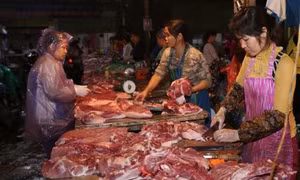 Tiềm ẩn nguy cơ phá vỡ các cân đối của ngành hàng thịt lợn