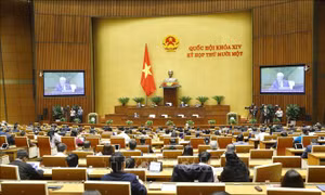 Nhiệm kỳ thể hiện trách nhiệm cao vì nước vì dân của Chủ tịch nước và Chính phủ