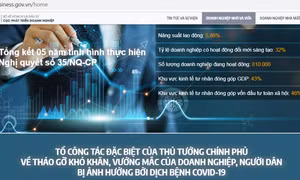 Ra mắt cổng thông tin hỗ trợ cộng đồng doanh nghiệp