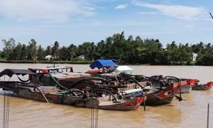 Phạt hơn 800 triệu đồng đối với các hành vi 'cát tặc' ở Trà Vinh