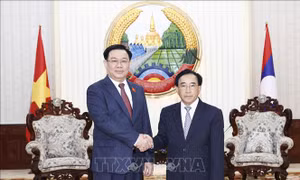 Chủ tịch Quốc hội Vương Đình Huệ hội kiến Thủ tướng Lào Phankham Viphavanh