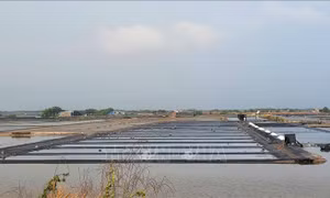 Thời tiết bất lợi khiến diêm dân thất thu sau Tết