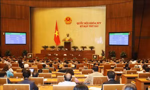 Triển khai thi hành Luật Trồng trọt, Luật Chăn nuôi