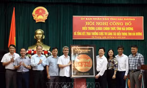 Biểu trưng chính thức của tỉnh Hải Dương lấy ý tưởng từ công trình tam quan đền Kiếp Bạc
