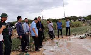  Bà Rịa-Vũng Tàu cần rà soát lại tất cả các phương án phòng, chống bão