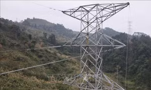 Phấn đấu hoàn thành đường dây 220kV Nậm Sum – Nông Cống cuối tháng 10