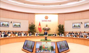 Phó Thủ tướng Vũ Đức Đam gặp mặt các nhà khoa học tham gia 5 đề án lớn