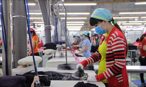 Đồng Nai tạo điều kiện cho chuyên gia đến làm việc