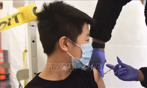 CDC Mỹ kêu gọi đảm bảo bao phủ vaccine phòng các bệnh đặc hữu