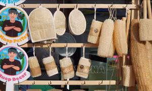 Khởi nghiệp xanh trên đất Sen hồng