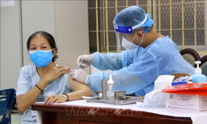 TP Hồ Chí Minh kiến nghị phân bổ 5,5 triệu liều vaccine để đạt kế hoạch tiêm chủng