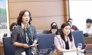 Tăng cường các biện pháp bảo vệ quyền con người, thúc đẩy phát triển kinh tế - xã hội