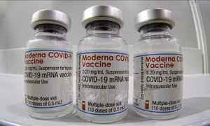 Kiều bào đề nghị tặng 50.000 lọ vaccine phòng COVID-19 cho TP Hồ Chí Minh