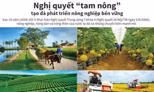 Nghị quyết 'tam nông' tạo đà phát triển nông nghiệp bền vững