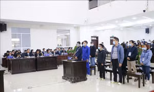 Xét xử phúc thẩm vụ án xảy ra tại CDC Hà Nội