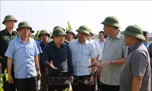 Quảng Ninh không được chủ quan trước diễn biến bão Mangkhut