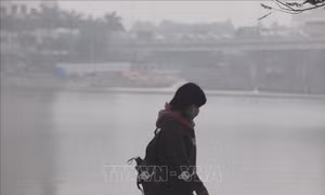 12 điểm quan trắc cho thấy không khí ở Bắc Bộ ô nhiễm nặng