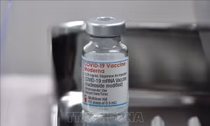 Nhật Bản khuyến nghị sử dụng vaccine của Moderna cho mũi tiêm tăng cường