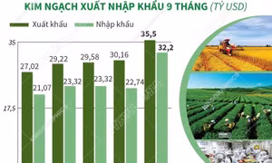 9 tháng năm 2021: Xuất khẩu nông, lâm, thủy sản tăng 17,7%