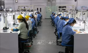 Cần thực hiện đơn hàng gấp, gần 700 công nhân làm việc trong kỳ nghỉ Tết