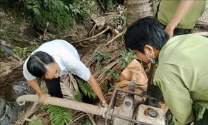 An Giang chủ động ứng phó với các tình huống cháy rừng