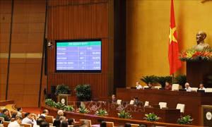 Phê chuẩn EVFTA, EVIPA: Bước tiến quan trọng trong quá trình hội nhập của Việt Nam