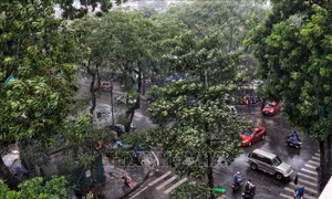 Chiều tối và đêm 1/7, các khu vực đều có mưa và dông
