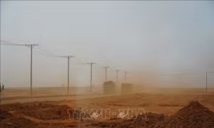 Xử phạt chủ đầu tư 270 triệu đồng vì để ô nhiễm bụi ở sân bay Long Thành