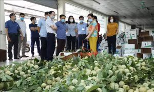 Lạng Sơn tạo điều kiện hỗ trợ nông dân tiêu thụ trái na 
