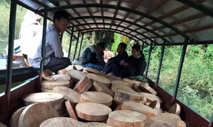 Bắt đối tượng vận chuyển trái phép 830 thớt gỗ nghiến trên sông Đà