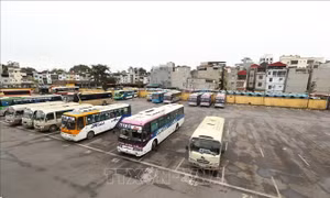 Bộ Giao thông Vận tải đề xuất giảm thuế giúp doanh nghiệp ứng phó dịch COVID-19