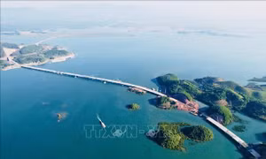 Bổ sung thành viên của hai Hội đồng điều phối vùng