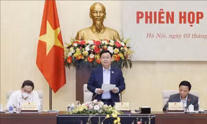 Chủ tịch Quốc hội: Hoàn thiện đồng bộ, có chất lượng hệ thống pháp luật