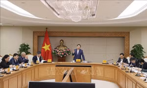 Giảm thủ tục 'quanh co, trùng lặp' trong quy định về hoạt động lấn biển