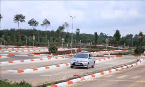 Loạt chính sách kinh tế mới có hiệu lực từ tháng 8/2023